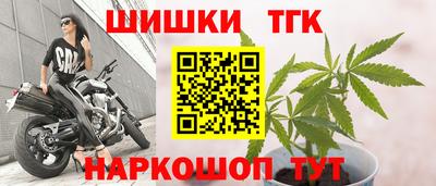 спиды Сланцы