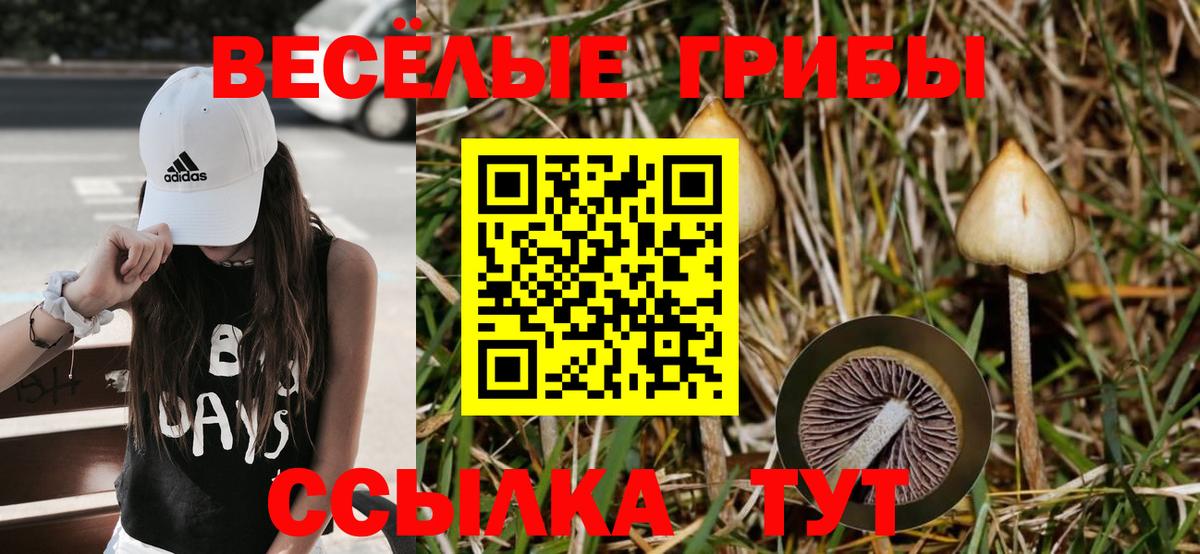 Галлюциногенные грибы мицелий  Вход с VPN  Омск 